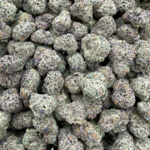 GUSHERS ML022