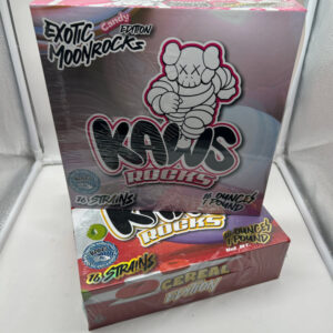 KAWS ROCKS