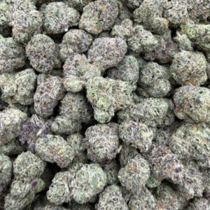 NERDS CLUSTER ML023