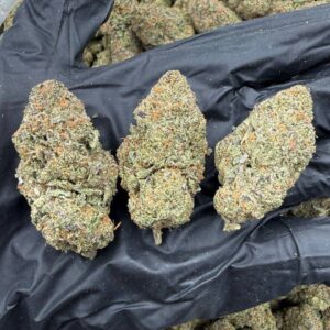 CANDY CRUSHER 3lbs