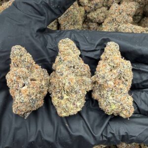 UNDERCOVER KUSH 3lbs