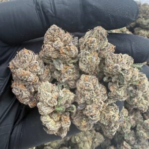 BLUE BURST 3lbs