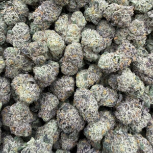 CEREAL BARZ ML024