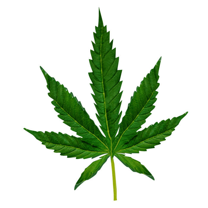 the-cannabis-leaf-image-3d-rendering-png